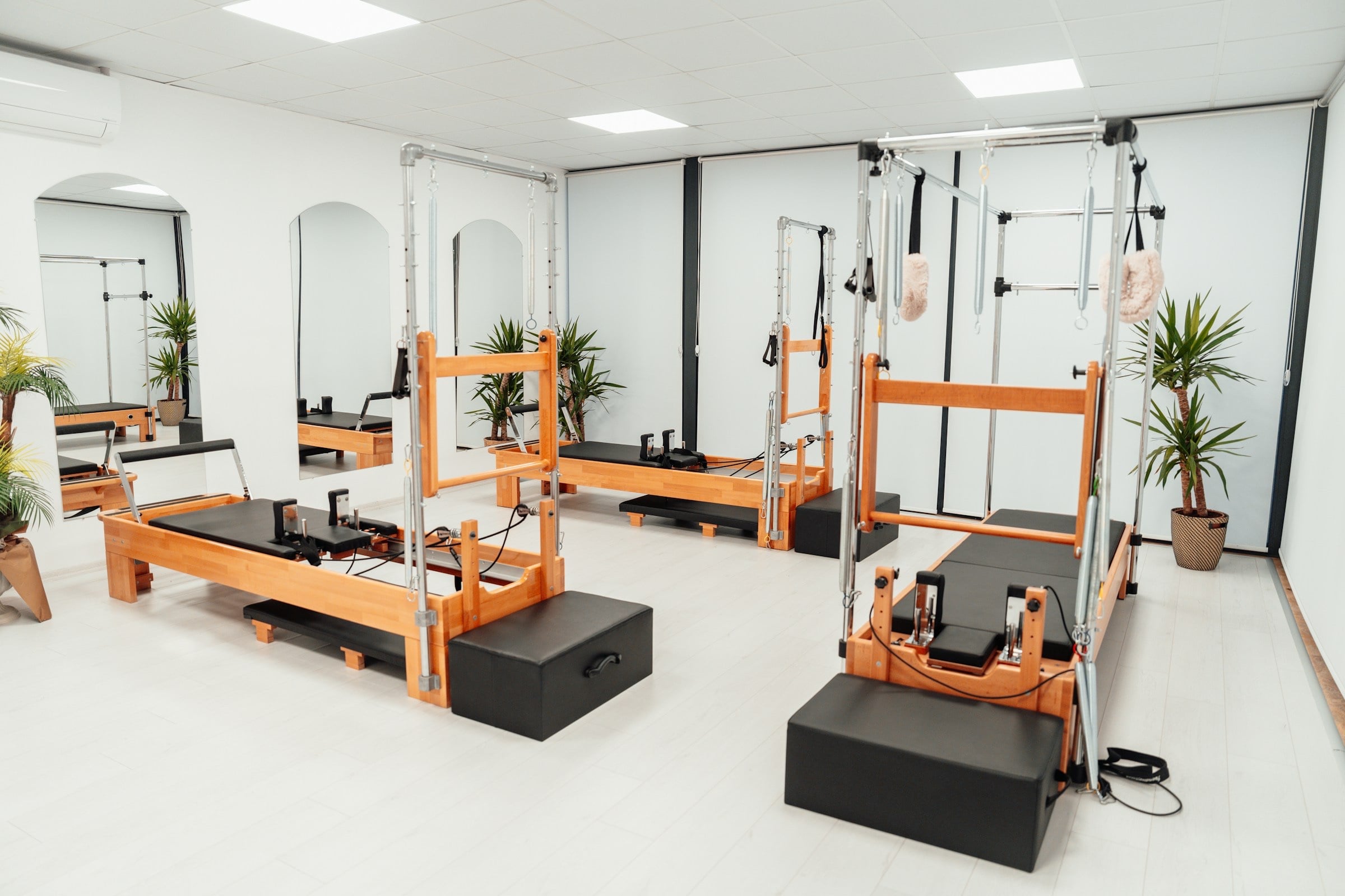 A Pilates and physiotherapy studio with reformers, mirrors and plants